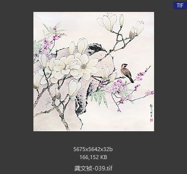 龚文祯 #039
