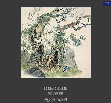龚文祯 #040