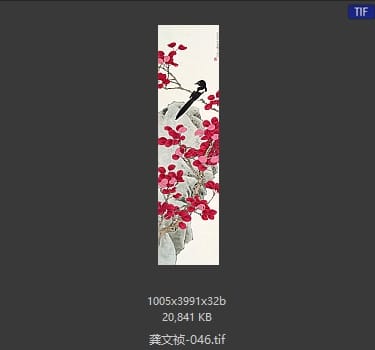 龚文祯 #046