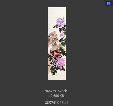 龚文祯 #047