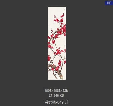 龚文祯 #049