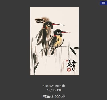 韩美林 #002