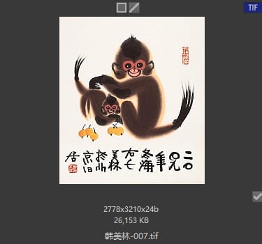 韩美林 #007