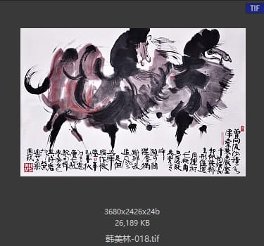 韩美林 #018