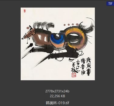 韩美林 #019