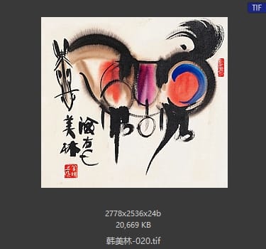 韩美林 #020