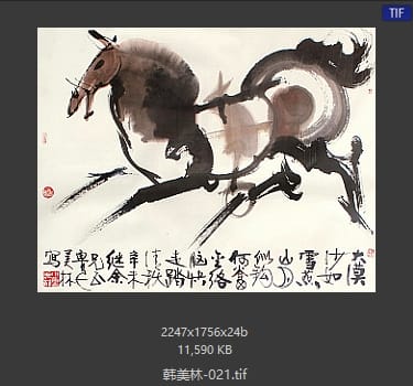 韩美林 #021