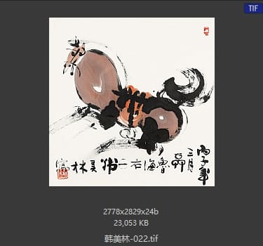 韩美林 #022