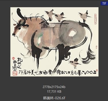 韩美林 #026