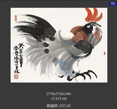 韩美林 #037