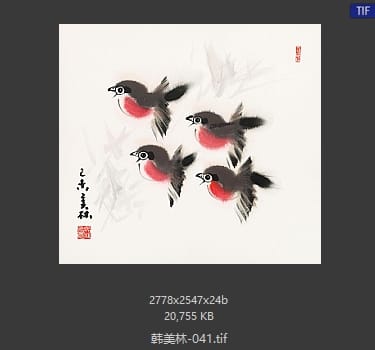 韩美林 #041