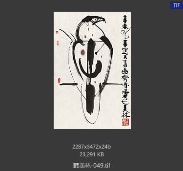 韩美林 #049