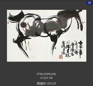韩美林 #055