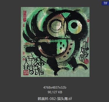 韩美林 猫头鹰