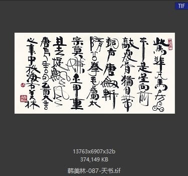 韩美林 天书