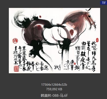 韩美林 马