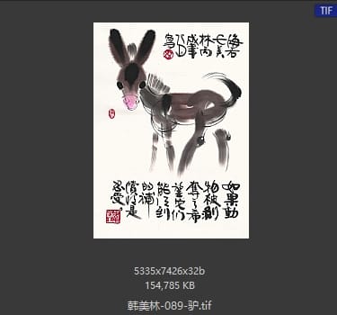韩美林 驴