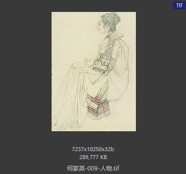 何家英 人物