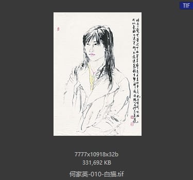 何家英 白描