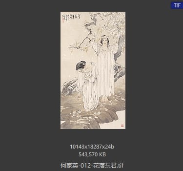 何家英 花落东君
