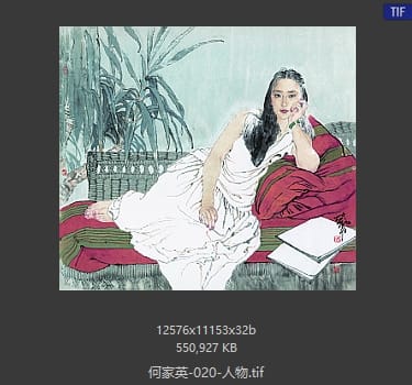 何家英 人物