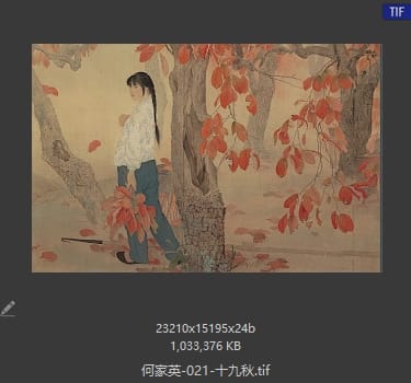 何家英 十九秋