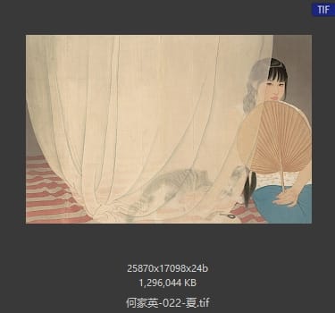 何家英 夏