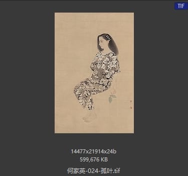 何家英 孤叶