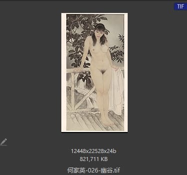 何家英 幽谷