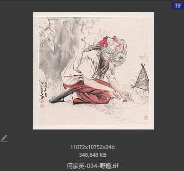 何家英 野趣