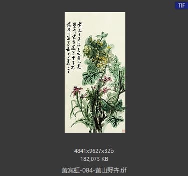 黄宾虹 黄山野卉