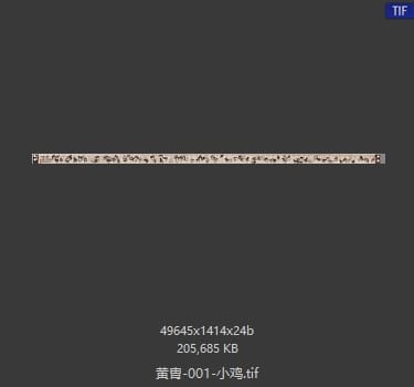 黄胄 小鸡