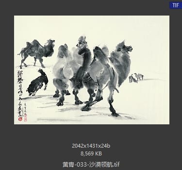黄胄 沙漠领航