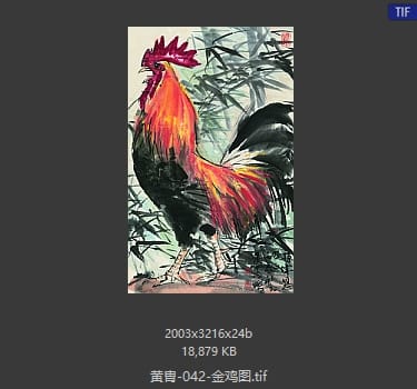 黄胄 金鸡图