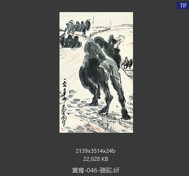 黄胄 骆驼