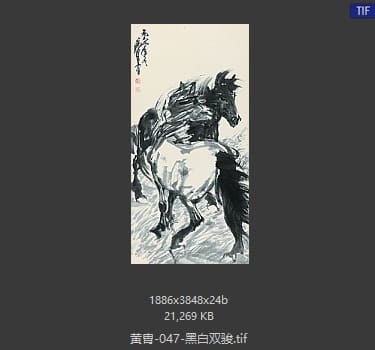 黄胄 黑白双骏