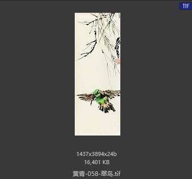 黄胄 翠鸟