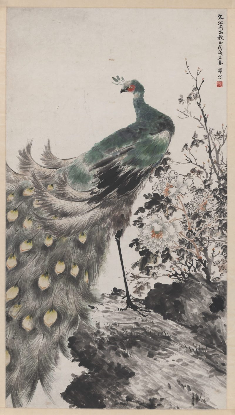 江寒汀 孔雀