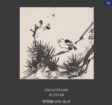 李苦禅 鸟