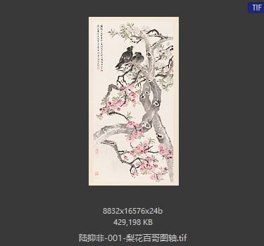 陆抑非 梨花百哥图