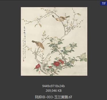 陆抑非 玉兰黄鹂