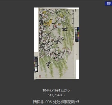 陆抑非 处处柳眠花溅