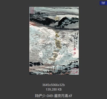 陆俨少 星夜月涌