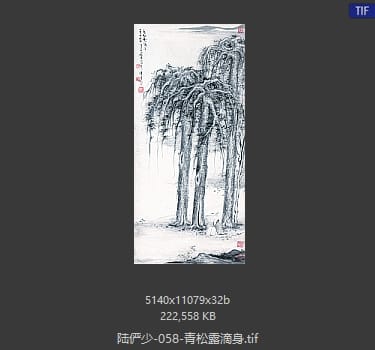 陆俨少 青松露滴身