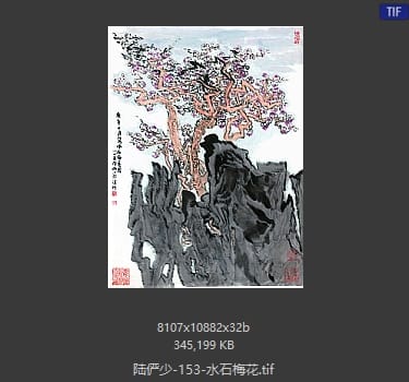 陆俨少 水石梅花