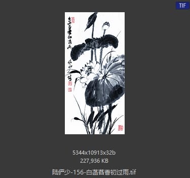 陆俨少 白菡萏香初过雨