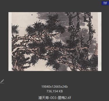 潘天寿 墨梅2