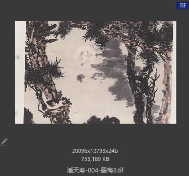 潘天寿 墨梅3