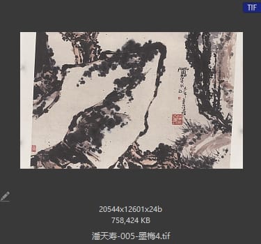 潘天寿 墨梅4