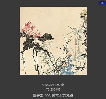 潘天寿 雁荡山花图